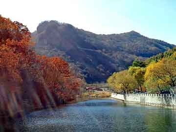 管家婆免费正版资起大全，北京地板打蜡